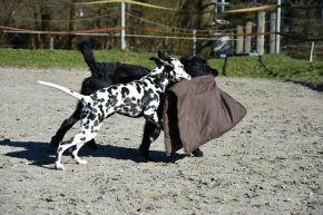 Fritzi und Amara